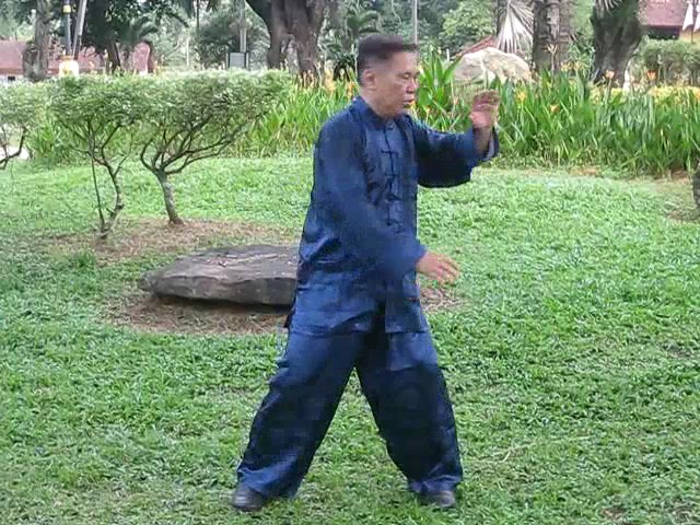 Wu Yu Xiang Style Taijiquan